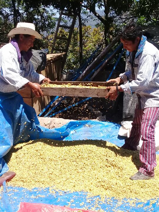 Guatemala - Single Origin Coffee
